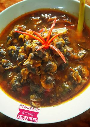 Foto resep Kerang Saus Padang