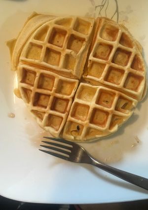A picture of Waffles.