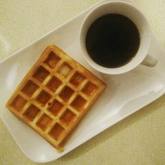 A picture of Waffles.