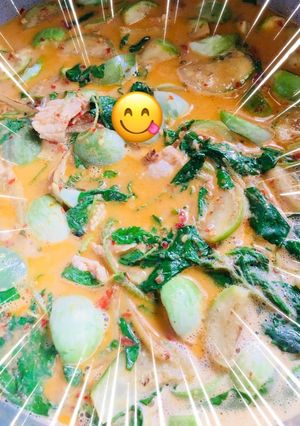 รูปของ เเกงกะทิหมู&ขนมจีน#ทำขายรวย
