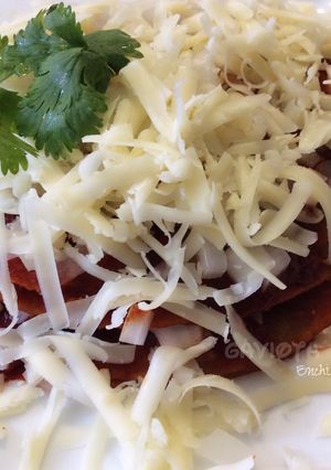 Una foto de Enchiladas By Gaviota Moreno