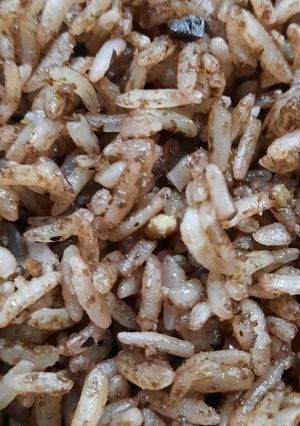 Hình của món Xôi trám đen - món ngon hấp dẫn trẻ con.
