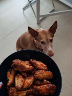 Una foto de Alitas "agripicantes"