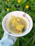 Sop ikan patin