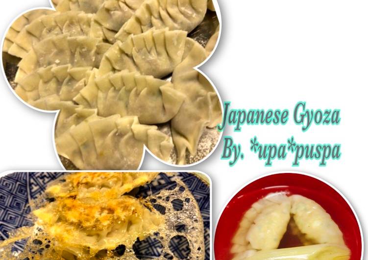 Niiyama Cabbage japanese Gyoza
