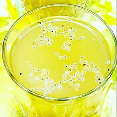 A picture of Summer special drink.