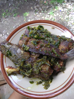 Foto resep Lele Lado ijo