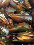 chili garlic mussels