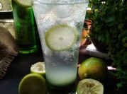 Gambar melon lemon squash
