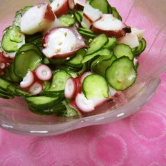 A picture of Octopus and Cucumber in Mildly Sour Vinegar.