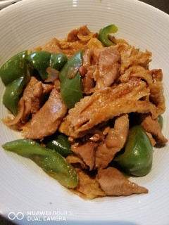 A picture of Stir Fry Pork Meat.