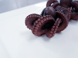 Pulpo