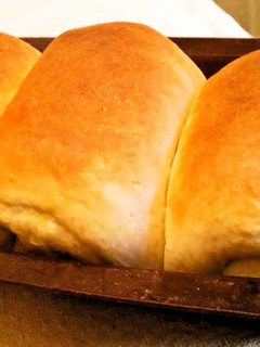 A picture of Easy Homemade Bread Loaf Made in a 100 Yen Poundcake Pan.