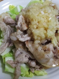 A picture of Pork and Cabbage With Crispy Onion Sauce.