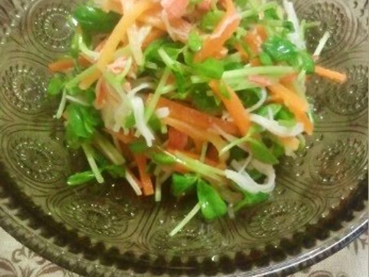 Easy Ways Make|Recipe} Pea Sprout &amp;amp; Carrot Salad Anti-Fail