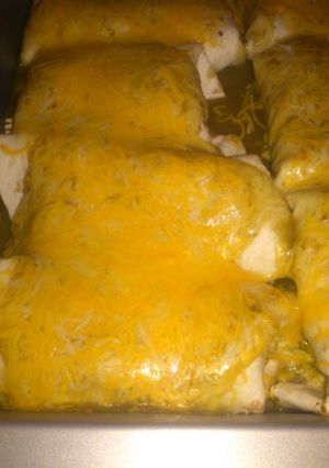 A picture of Chicken Enchiladas.