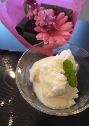 A picture of Healthy Tofu Ice Cream.