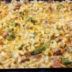 A picture of Cheesy Ham Alfredo Casserole.