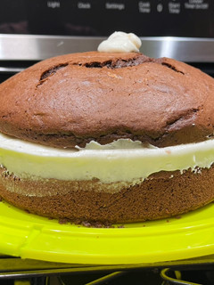 A picture of Lickity-Split Cocoa Cake with Cream Cheese Frosting.