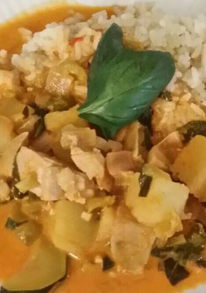 A picture of Brad's chicken in red thai curry.