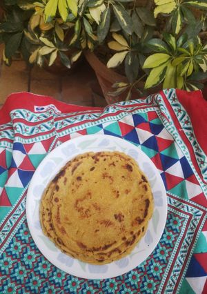 A picture of Makai ki roti.