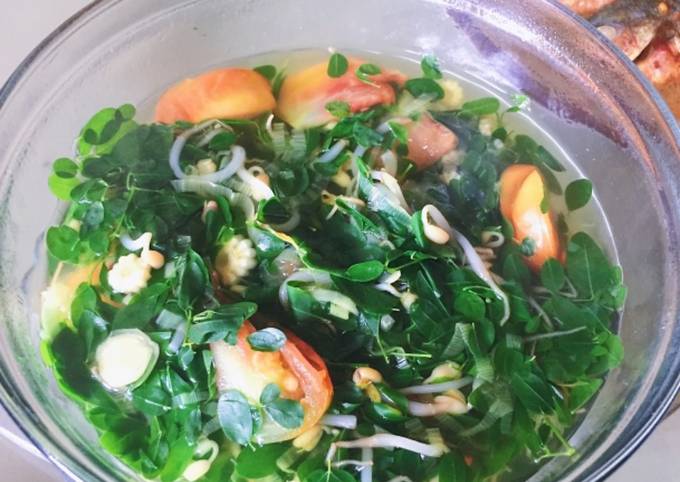 Resep Sayur Bening Kelor Oleh Nurul Dewulan Wulan Cookpad