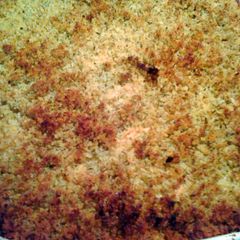salmon casserole A picture of salmon casserole.