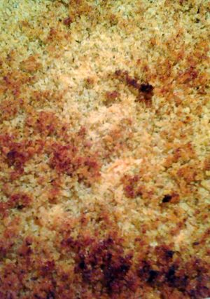 A picture of salmon casserole.