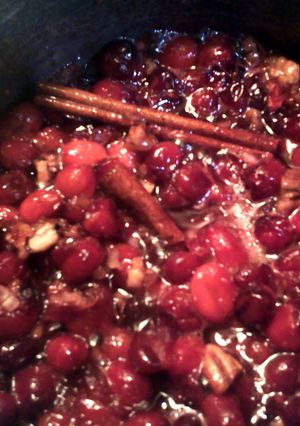 A picture of Cranberry relish.