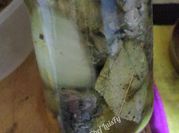 A picture of cured olives