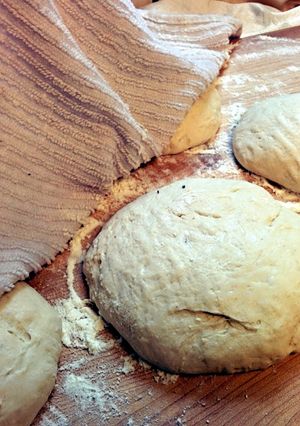 A picture of Napoletana Dough for Pizza or Calzone.