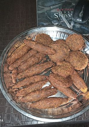 A picture of Veg Soya Seekh Kebab.