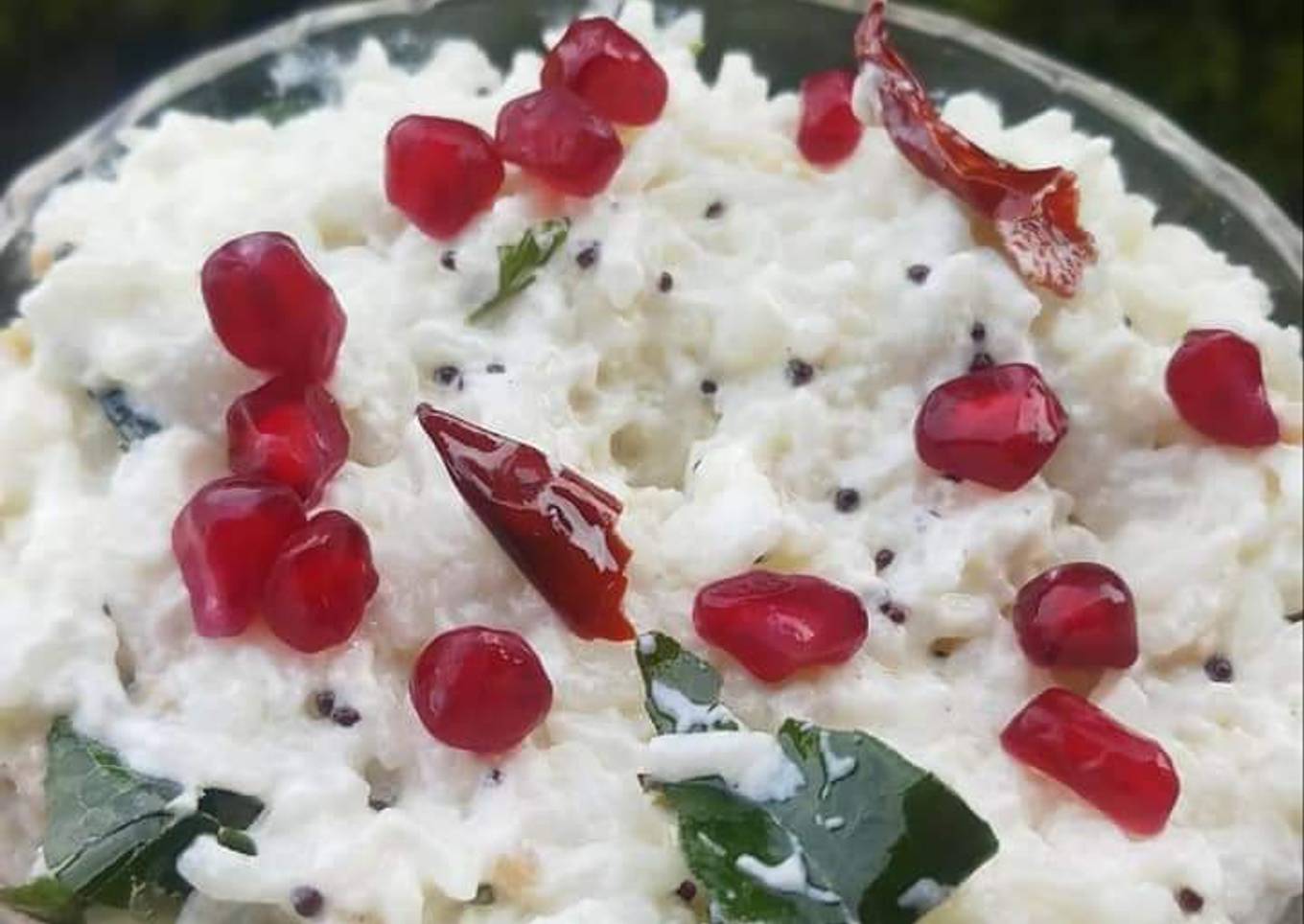 Curd rice