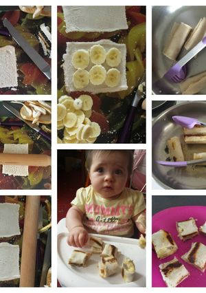 A picture of Babyweaning Fruit Rolls.