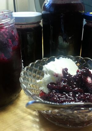 A picture of Lingonberries and bruberry jams.