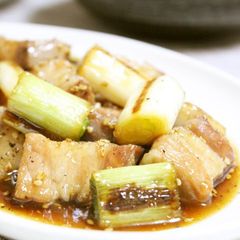 A picture of Excellent Pork Belly Block & Japanese Leek in Delicious Sauce.