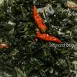 Sayur Bobor Pepaya Jepang