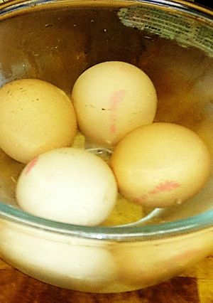 A picture of Tex's Tips for Fresh Eggs.