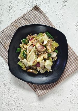 Foto resep Tumis Teri Terong Kol