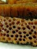 Honeycomb