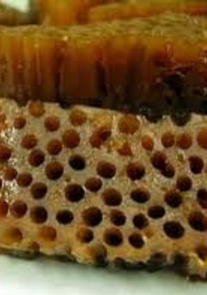 A picture of Honeycomb.