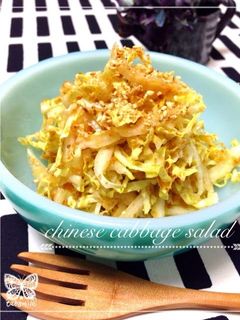 A picture of Easy Chinese Cabbage Salad.