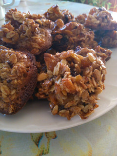 A picture of Oatmeal macaroons.