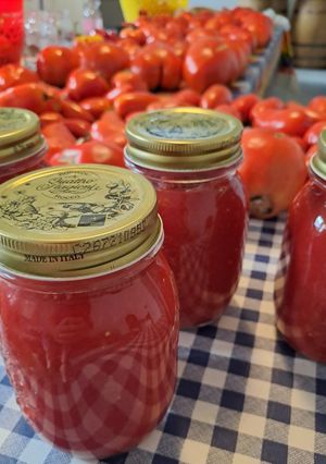 Foto di Passata di pomodoro