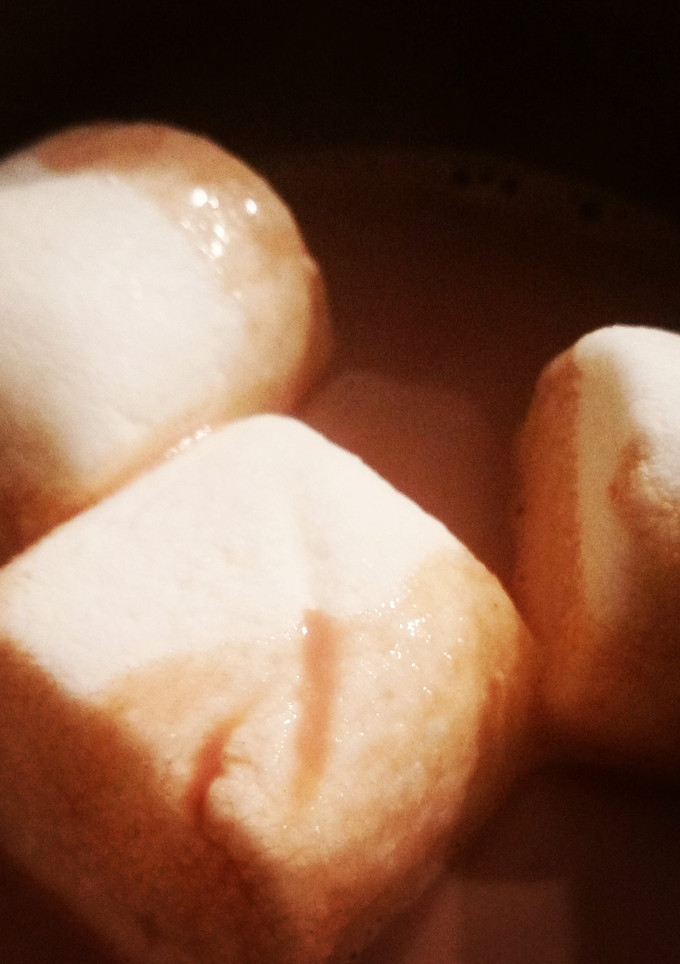 A picture of From-Scratch Hot Cocoa.