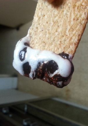 A picture of Smores Dip.