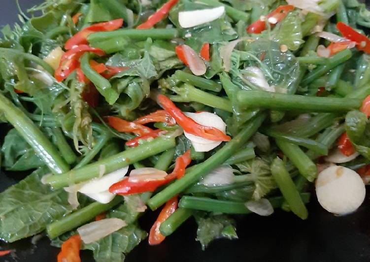 Cara mudah memasak Tumis daun pucuk jipang/labu siam, Menggugah Selera