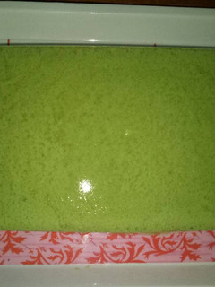 Foto resep Puding lumut istimewa
