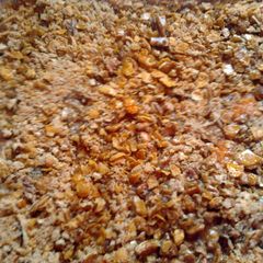 A picture of Sweet Potato Casserole.