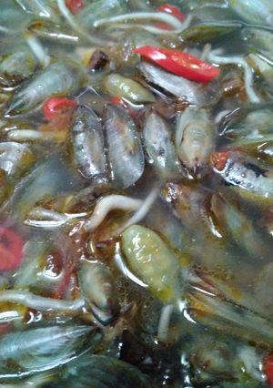 Foto resep Kerang Hijau (tebalan) Kuah Pedas Segeerrr